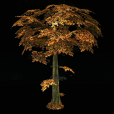 Enormous Autumn Tree | Rift Dimension Addicts